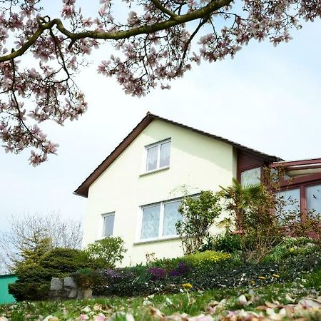Ferienwohnung Rheinblick Bad Bellingen Exterior foto