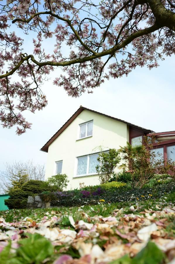 Ferienwohnung Rheinblick Bad Bellingen Exterior foto